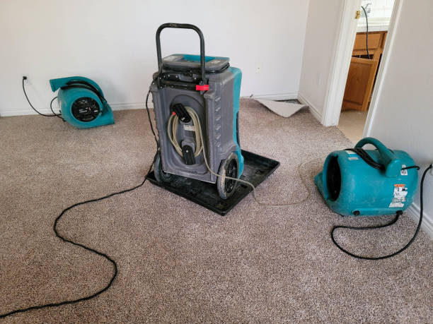 Best Water damage restoration near me  in Juarez, TX