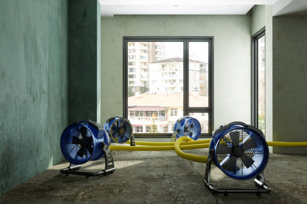 Best 24/7 water damage repair  in Juarez, TX
